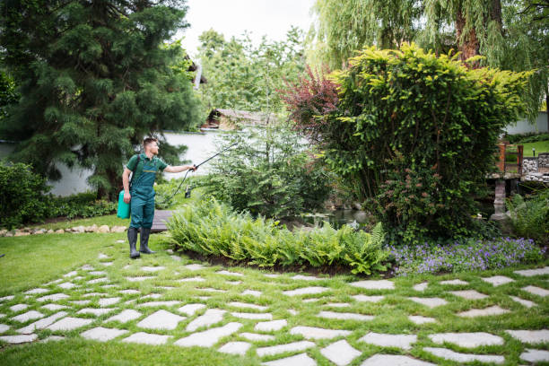 Best Ant Control Services  in Shrewsbury, MO