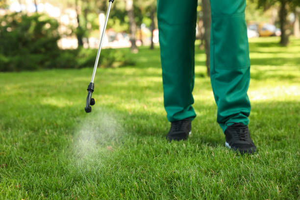 Reliable Shrewsbury, MO Pest Control Solutions