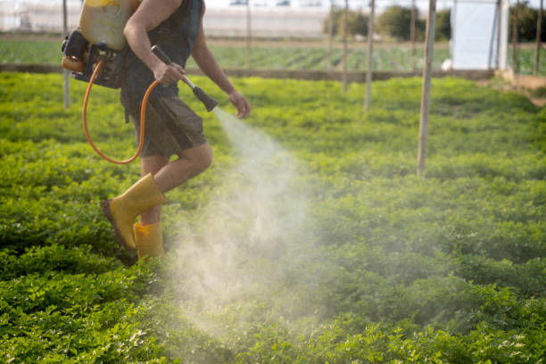 Best Mosquito Control Services  in Shrewsbury, MO