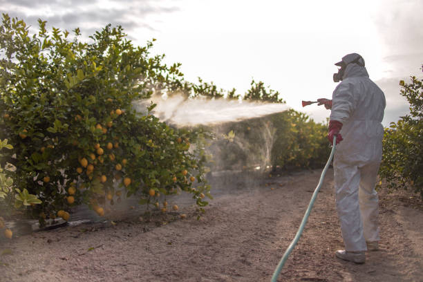 Best Exterminator Services  in Shrewsbury, MO