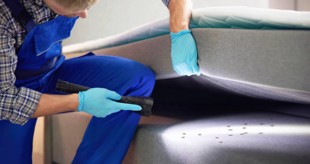 Best Commercial Pest Control Services  in Shrewsbury, MO