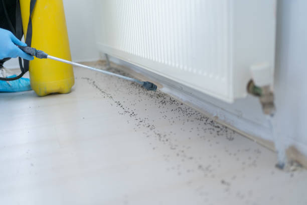 Best Pest Control for Businesses  in Shrewsbury, MO