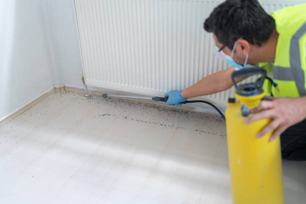 Best Emergency Pest Control  in Shrewsbury, MO